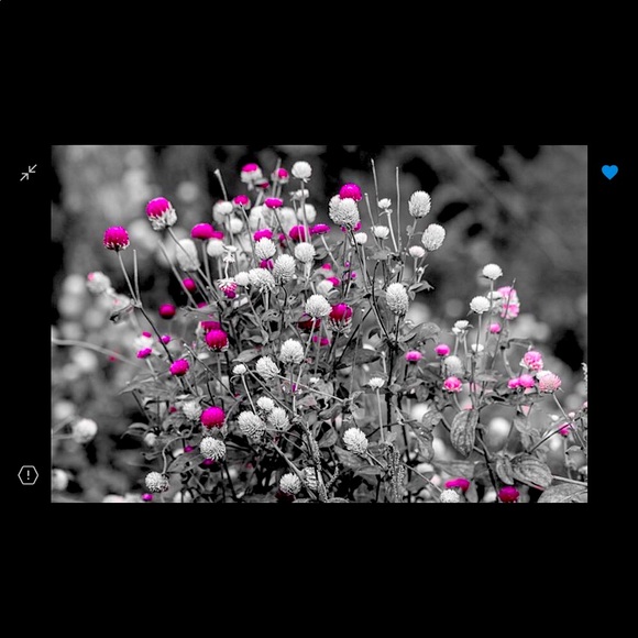 Meet the Posher Other - Meet your Posher, Joann